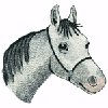 HORSE HEAD