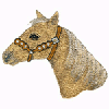 HORSE HEAD