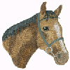 HORSE HEAD