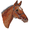 HORSE HEAD