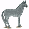 HORSE