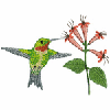 HUMMINGBIRD