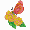 BUTTERFLY 4