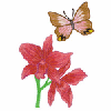 BUTTERFLY 6