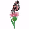 BUTTERFLY 12