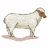 SHEEP