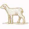 LAMB