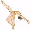 BALLERINA