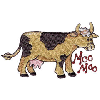 MOO MOO