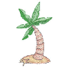 COCONUT TREE