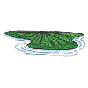 LILY PAD