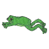 LEAPING FROG