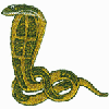 EGYPTIAN SNAKE