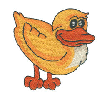 DUCK