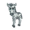 BIG EYED ZEBRA