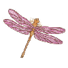 DRAGON FLIES