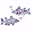 FISH MOSAIC