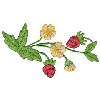 FLORAL BORDER