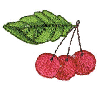 CHERRIES