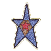 PATRIOTIC STAR