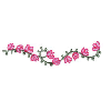 FLORAL BORDER