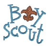 BOY SCOUT