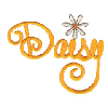 DAISY