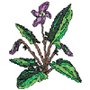 CROSS STITCH WILDFLOWER