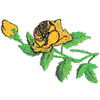 YELLOW ROSES