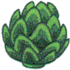 ARTICHOKE