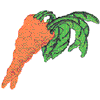 CARROTS