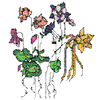 CROSS STITCH WILD COLUMBINE