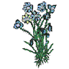 CROSS STITCH HEPATICA