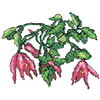 CROSS STITCH CLEMATIS