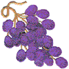 GRAPES