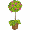 TOPIARY