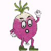 RADISH MAN