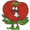 TOMATO MAN