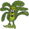 LETTUCE MAN