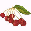 CHERRIES