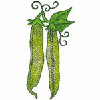 STRING BEANS