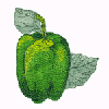 BELL PEPPER