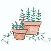 FLOWER POTS