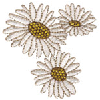 DAISIES