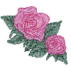 PINK ROSE