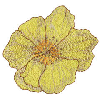 YELLOW FLOWER