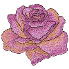 PINK ROSE