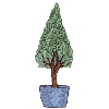 POTTED TREE