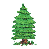 PINE TREE