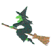 WITCH ON BROOM